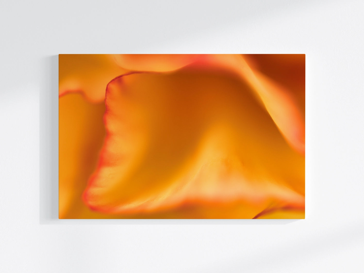 Blumen-Wandbild Düne, makrofotografische Detailaufnahme einer Blumenblüte in vor allem orangener Farbe