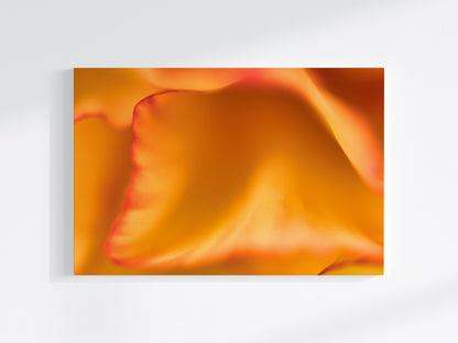 Blumen-Wandbild Düne, makrofotografische Detailaufnahme einer Blumenblüte in vor allem orangener Farbe