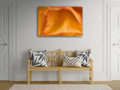 Großformatiges Blumen-Wandbild Düne über einer hölzernen Sitzbank