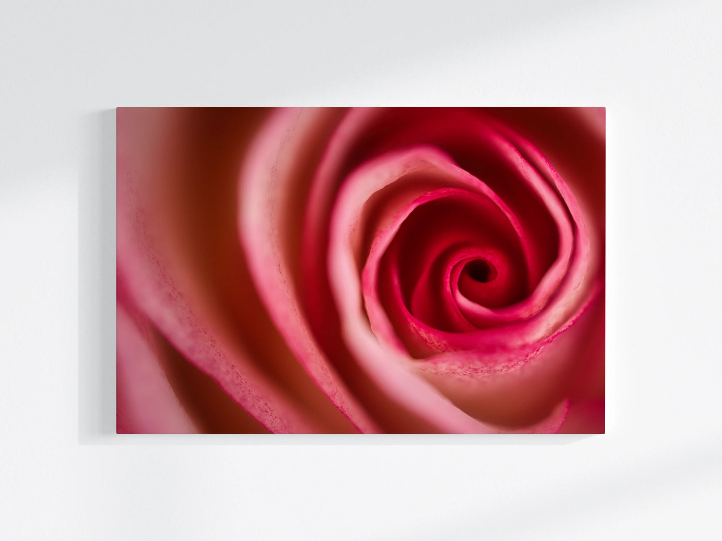 Blumen-Wandbild Endlos, makrofotografische Detailaufnahme einer Blumenblüte in den Farben rot und weiß