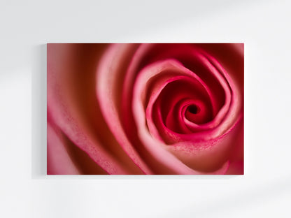 Blumen-Wandbild Endlos, makrofotografische Detailaufnahme einer Blumenblüte in den Farben rot und weiß