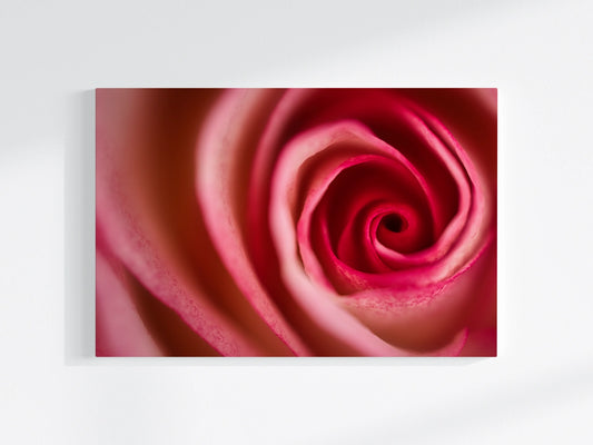 Blumen-Wandbild Endlos, makrofotografische Detailaufnahme einer Blumenblüte in den Farben rot und weiß