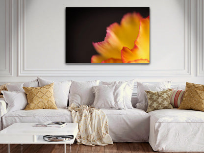 Großformatiges Blumen-Wandbild Fackel in einem Wohnzimmer über einem Sofa