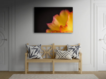 Großformatiges Blumen-Wandbild Fackel über einer hölzernen Sitzbank