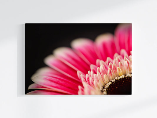 Blumen-Wandbild Federschmuck, makrofotografische Detailaufnahme einer Blumenblüte in den Farben rot und weiß