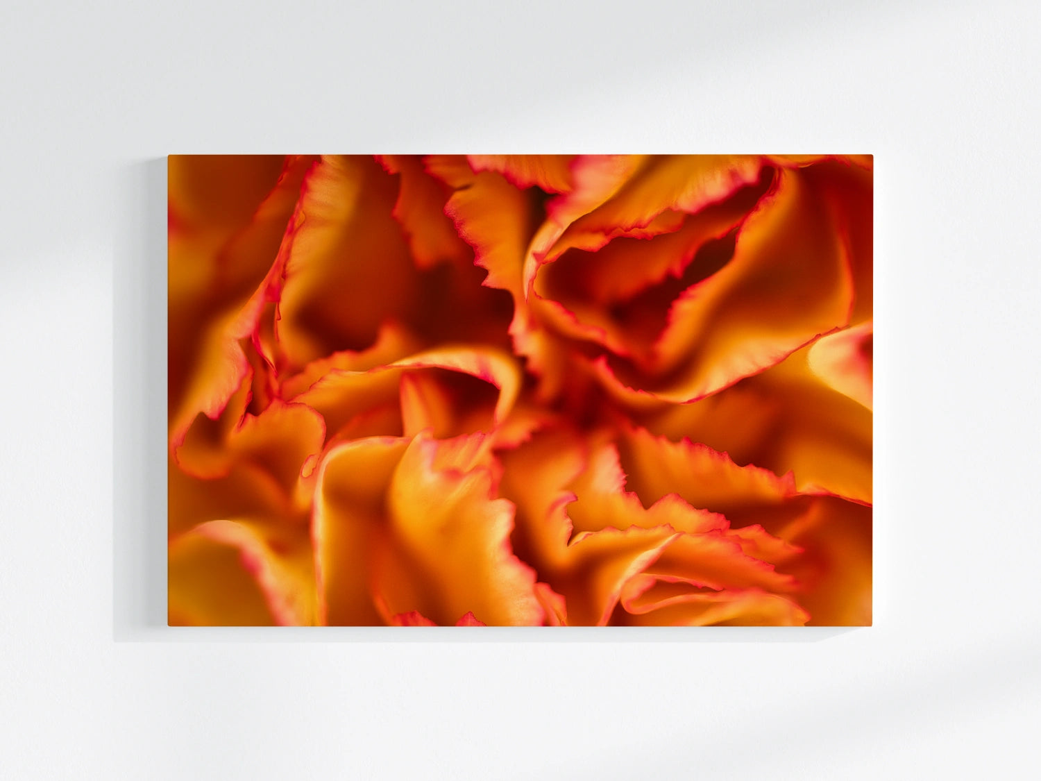 Blumen-Wandbild Feuer, makrofotografische Detailaufnahme einer Blumenblüte in den Farben orange und rot
