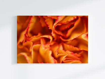 Blumen-Wandbild Feuer, makrofotografische Detailaufnahme einer Blumenblüte in den Farben orange und rot