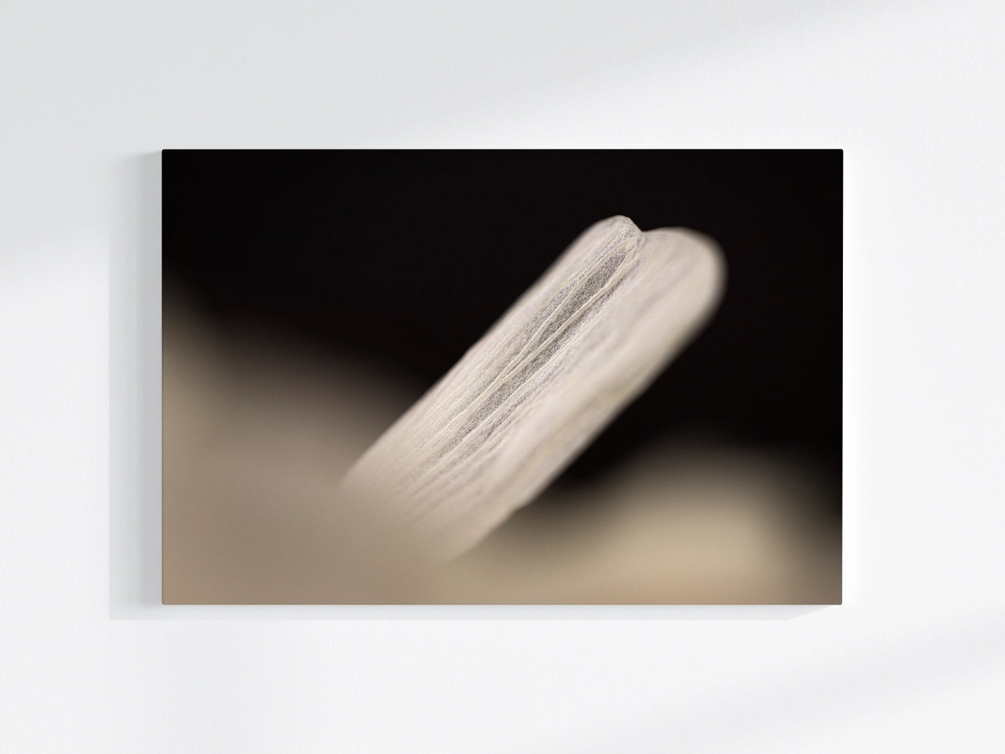 Blumen-Wandbild Flügel, makrofotografische Detailaufnahme eines einzelnen Blütenblattes in der Farbe weiß vor schwarzem Hintergrund