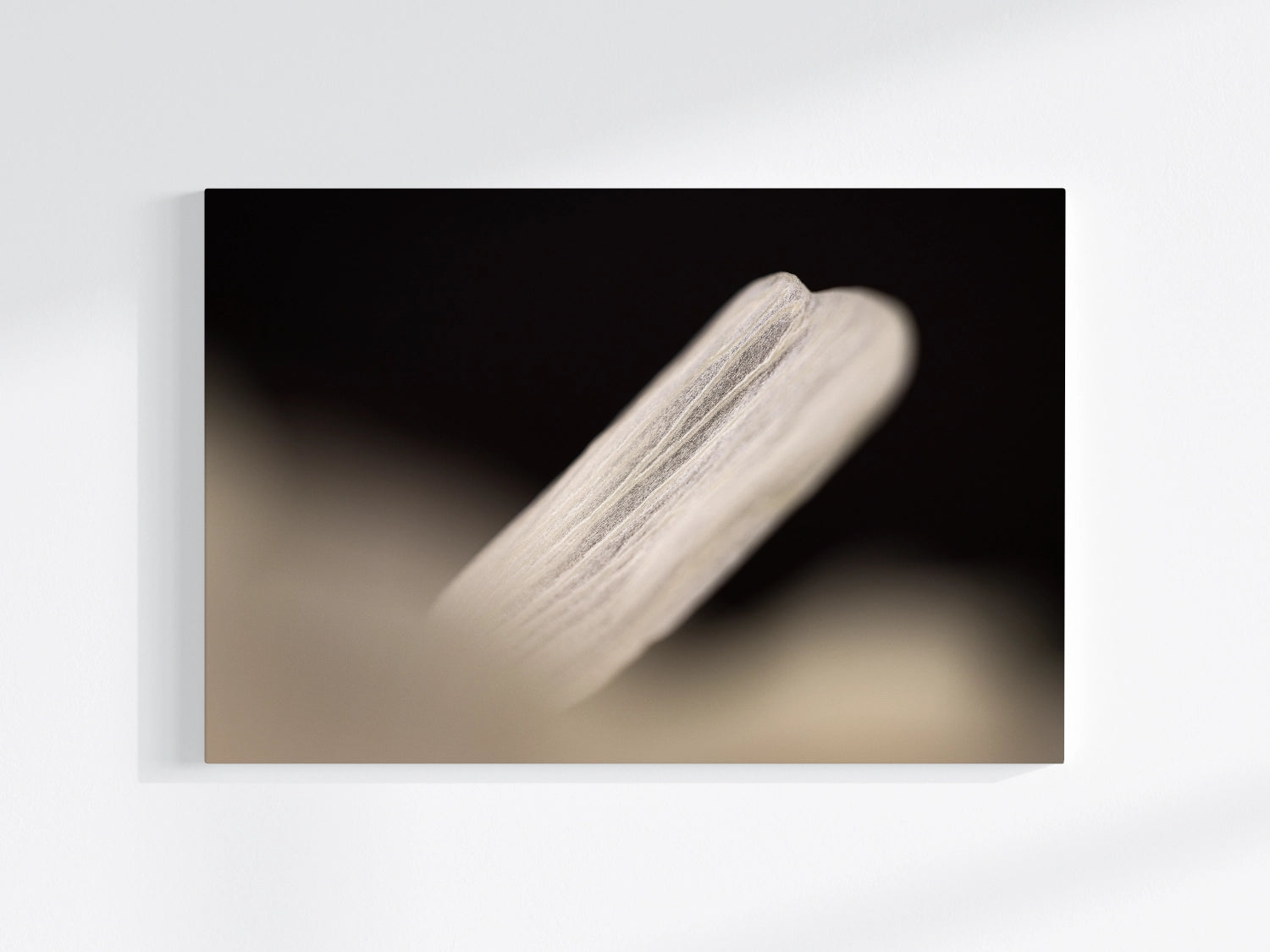 Blumen-Wandbild Flügel, makrofotografische Detailaufnahme eines einzelnen Blütenblattes in der Farbe weiß vor schwarzem Hintergrund