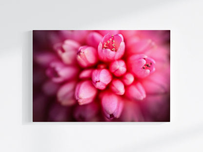 Blumen-Wandbild Glockenturm, makrofotografische Detailaufnahme einer Blumenblüte in vor allem pinker Farbe