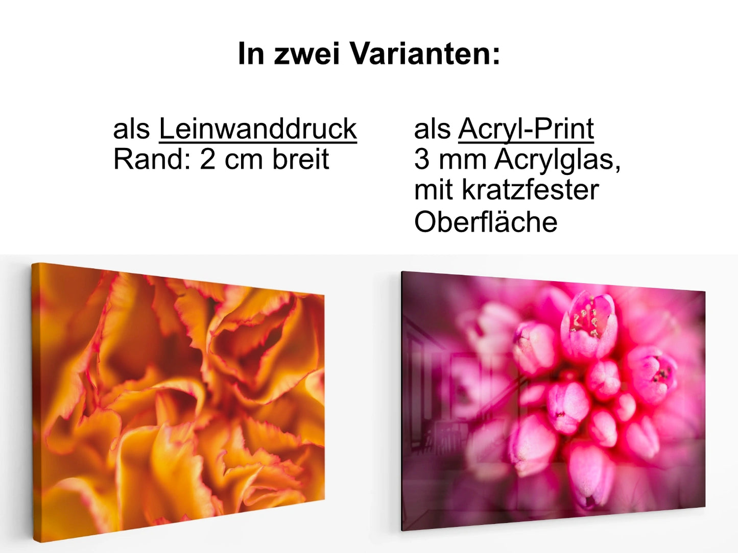 Produktvarianten der Wandbilder -Leinwanddruck oder Acryl-Print