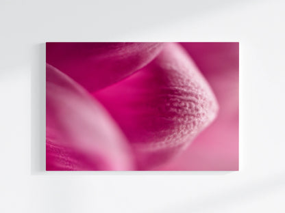 Blumen-Wandbild Planet, makrofotografische Detailaufnahme einer Blumenblüte in vor allem pinker Farbe