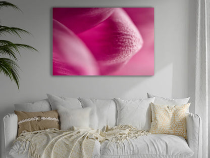 Großformatiges Blumen-Wandbild Planet in einem Wohnzimmer über dem Sofa an der Wand hängend