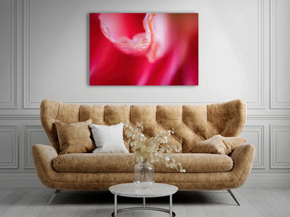 Großformatiges Blumen-Wandbild Roter Samt in einem Wohnzimmer über einer Couch