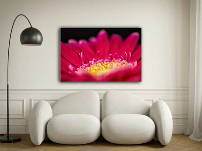 Großformatiges Blumen-Wandbild Rotkelch in einem Wohnzimmer über einem Sofa