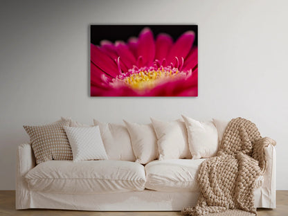 Großformatiges Blumen-Wandbild Rotkelch in einem Wohnzimmer über einem Sofa