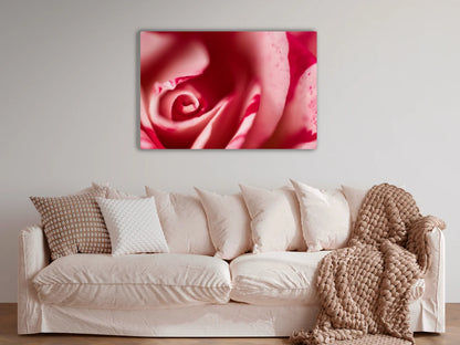 Großformatiges Blumen-Wandbild Rotweissblüte in einem Wohnzimmer über dem Sofa