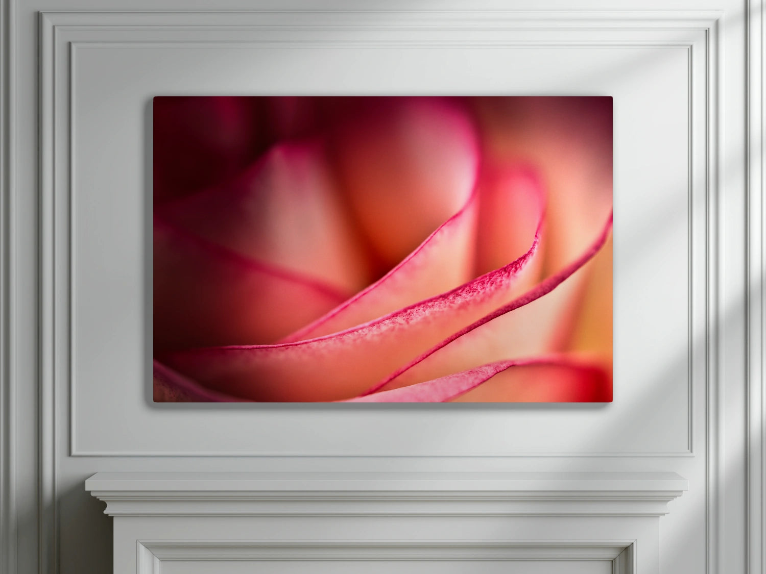 Großformatiges Blumen-Wandbild Rubinband an einer Wand mit Stuckverzierung