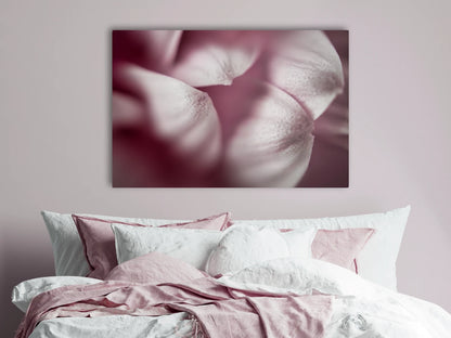 Großformatiges Blumen-Wandbild Schneeweisschen in einem Schlafzimmer über dem Bett