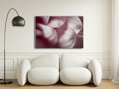 Großformatiges Blumen-Wandbild Schneeweisschen in einem Wohnzimmer über einem Sofa