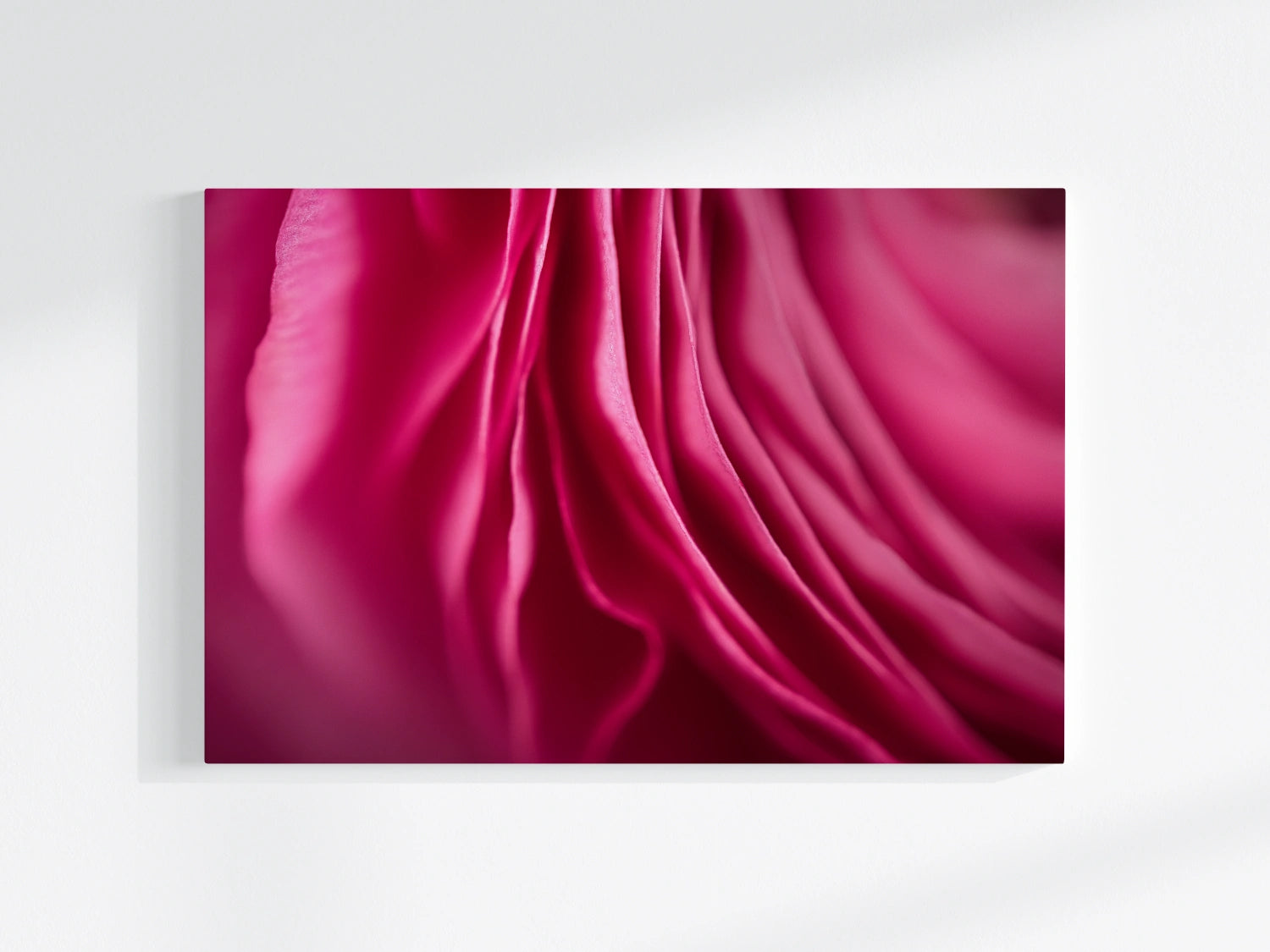 Blumen-Wandbild Vorhang Royal, makrofotografische Detailaufnahme einer Blumenblüte in vor allem Farbe pink