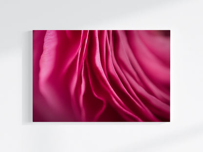 Blumen-Wandbild Vorhang Royal, makrofotografische Detailaufnahme einer Blumenblüte in vor allem Farbe pink