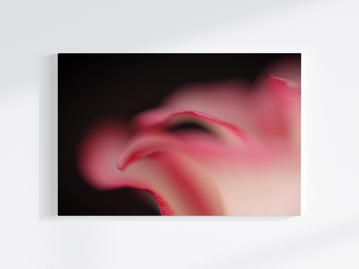 Blumen-Wandbild Welle, makrofotografische Detailaufnahme einer Blumenblüte in vor allem roter Farbe mit schwarzem Hintergrund