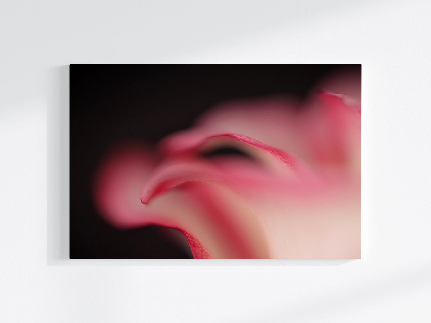 Blumen-Wandbild Welle, makrofotografische Detailaufnahme einer Blumenblüte in vor allem roter Farbe mit schwarzem Hintergrund